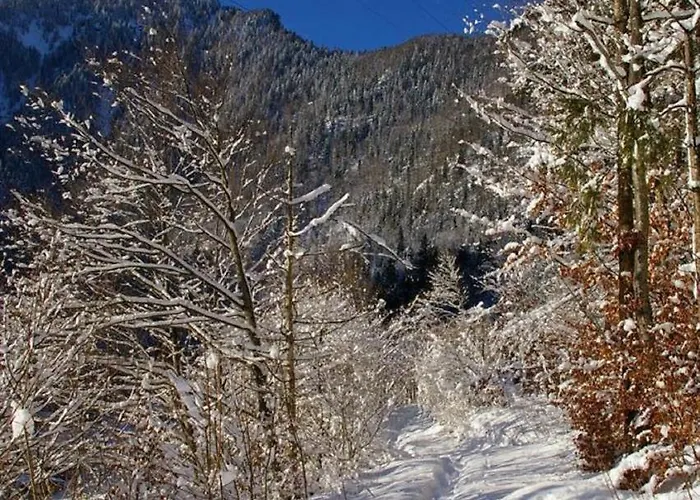 Haus Holzner-nagl *